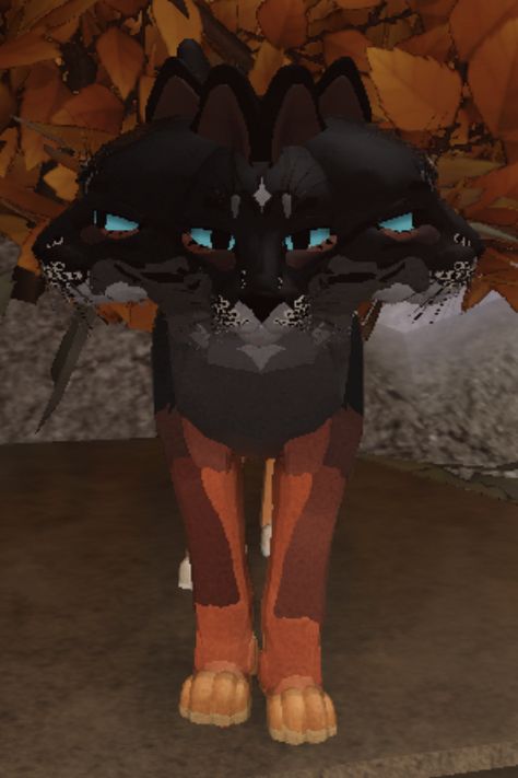 Wcue Halloween Ideas, Wcue Roblox Morph Ideas, Wcue Glitches, Wcue Inspiration, Cat Warrior, Rare Albino Animals, Warrior Cats Comics, Lions Pride, Wcue Morph