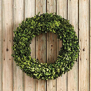 Preserved Boxwood Wreath Boxwood Wreaths, Boxwood Garland, Preserved Boxwood Wreath, Coordinates Decor, Preserved Boxwood, Wreath Indoor, Den Ideas, Gift Wreath, Starry Lights