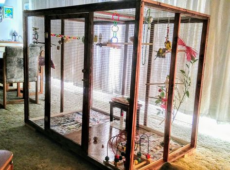 Andrea's birds are lucky ducks (er, parakeets) with this gorgeous aviary!  #aviary #birb #birblife #parakeets #budgie #parakeet #budgies #budgiephotos #budgerigar #parakeetlover #parakeetlovers #parakeetlove #budgielover #budgielovers #budgielove #wellensittich #muhabbetkusu Walk In Bird Cage, Parakeet Cage Ideas Diy, Indoor Aviary Ideas, Budgie Cage Ideas, Indoor Bird Aviary, Parakeet Cage Ideas, Budgie Aviary, Parakeet Aviary, Farm Sanctuary Ideas