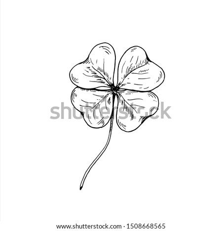 Clover sketch. Hand drawn four leaf clover. Vector illustration, isolated on white. Clover Sketch, Embroidery Flowers Pattern, Four Leaf, Leaf Clover, Four Leaf Clover, Lotus Flower Tattoo, Embroidery Flowers, Flower Patterns, Flower Tattoo