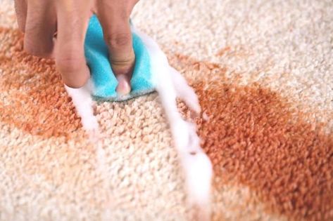 How To Remove Makeup From Carpet, How To Get Foundation Out Of Clothes, How To Get Makeup Out Of Carpet, Remove Makeup Stains, Cleaning Carpet Stains, Blood Stain Removal, Carpet Cleaning Solution, Cleaning Tricks, Homemade Cleaning