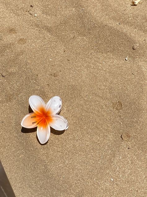 #flower #hawaii #aesthetic #sand #beach #summer #vibes #summervibes #fashion Beach Flowers Aesthetic, Aesthetic Sand, Sand Aesthetic, Flower Hawaii, Phone Widget, Hawaii Aesthetic, Summer Phone, Beach Flowers, Random Photos