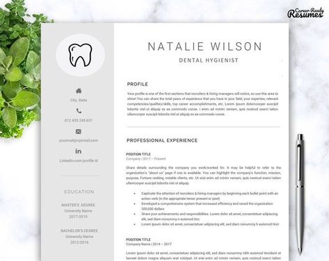 resume template medical assistant Dental Resume, Dentist Resume, Healthcare Resume, Software Engineer Resume, Free Professional Resume Template, Medical Assistant Resume, Letter Reference, Dentist Assistant, Customer Service Resume