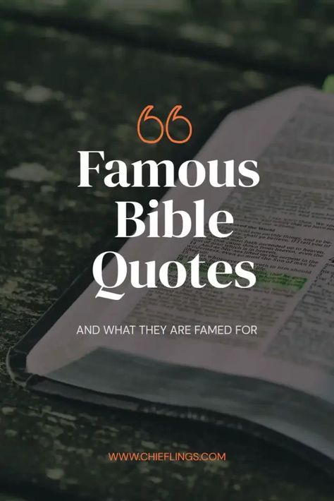 Popular Scripture Verses, Confident Bible Verses, Most Popular Bible Verses, Famous Bible Verses, Famous Bible Quotes, Belief Quotes, Biblical Quotes Inspirational, Popular Bible Verses, Confidence Motivation