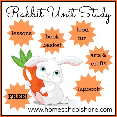 FREE Rabbit Unit Study including lapbook and extra activity ideas; a great spring theme for your homeschool Kids Nature Activities, Teaching Us History, Elementary Curriculum, Land Animals, Homeschool Elementary, School House Rock, Creative Curriculum, Alphabet Activities Preschool, Kindergarten Science