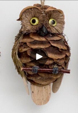 Pine Cone Owl Ornament 🦉 | Cutest Owl from Pine Cone, Natural Ornament 🦉DIY Craft Activities 🦉 | By DecorationFacebook Pine Cone Snowy Owl Craft, Pine Cone Squirrel Craft, Pine Cone Art Projects, Natural Ornaments Diy, Crafts With Pinecones, Pine Cone Owls, Owl Decorations, Pinecone Owls, Pine Cone Ornaments