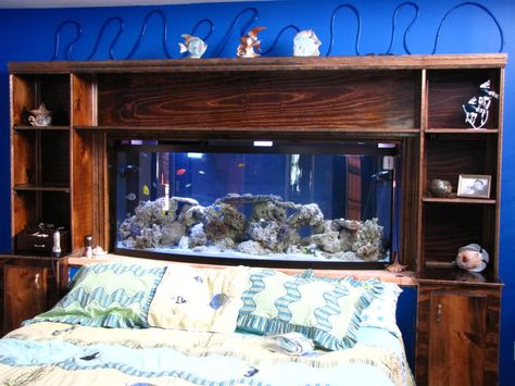 Build Thread - Here's a pic of my Headboard fish tank | REEF2REEF Saltwater and Reef Aquarium Forum Fish Tank Furniture, Aquarium Placement, Bedroom Aquarium, Fish Tank Bed, Aquarium Bed, Big Fish Tanks, Amazing Aquariums, Cool Fish Tanks, Diy Fish Tank