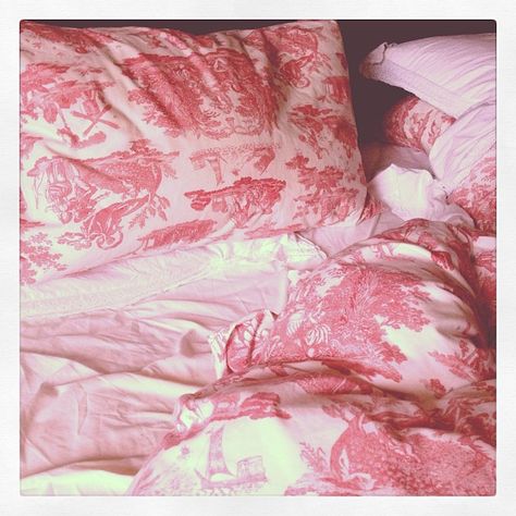 photo by @This Is Glamorous on instagram Warm Pink Aesthetic, Toile Bedding, Mens Room, Visible Light, Beautiful Bedding, My New Room, New Room, Pink Aesthetic, Vintage Pink