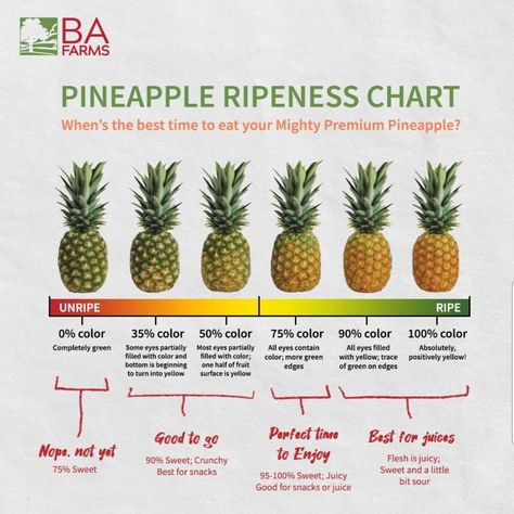 How To Pick The Best Fruit, How To Pick Pineapple, How To Pick A Pineapple, Fruit Ripeness Chart, Pineapple Ripeness, Pineapple Facts, Chef Kitchens, Food Saver Hacks, Amazing Food Hacks