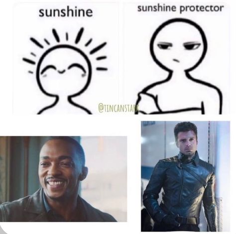 Winterfalcon Fanart, Bucky Fanart, Bucky Barnes Fanart, Marvel Comics Funny, Marvel Headcanon, Avengers Comics, Mcu Marvel, Marvel Avengers Funny, Marvel Jokes