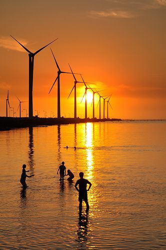 windpower, Taichun, Taiwan Solar Products, Taichung Taiwan, Mangrove Swamp, Old Windmills, Outdoor Pictures, Taiwan Travel, Choi Min Ho, Wind Turbines, Wind Farm