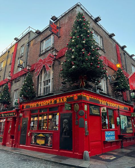 Drinking a Guinness in Ireland✔️ Ireland Christmas, Ireland Aesthetic, Guinness Draught, Aesthetic Winter, Guinness, Quick Saves