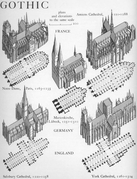 History Of Architecture, Architecture Antique, Istoria Artei, Plans Architecture, Gothic Cathedrals, Cathedral Architecture, Gothic Cathedral, Architecture History, European Architecture