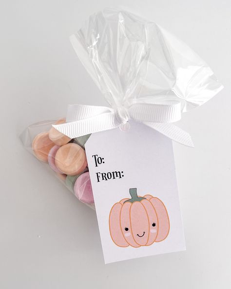 👻 Have you downloaded our Halloween Cuties printables yet? They will help you make the sweetest Halloween treats in all the land 🍭 It's super simple to create budget-friendly treats for your family and friends. 🛒 Head to the supermarket and grab your favourite lollies (when they are on sale, of course!) 🛍️ Pop them in some bags/boxes from a cheapy store or @spotlightstores 🎀 Fill the bags with the treats, add our printable gift tags and secure them with ribbon 🪄 It's super simple and e... Create Budget, Pastel Halloween, Printable Gift Tags, Halloween Treat Bags, Halloween Treat, Gift Tags Printable, Printable Gift, Treat Bags, Halloween Treats