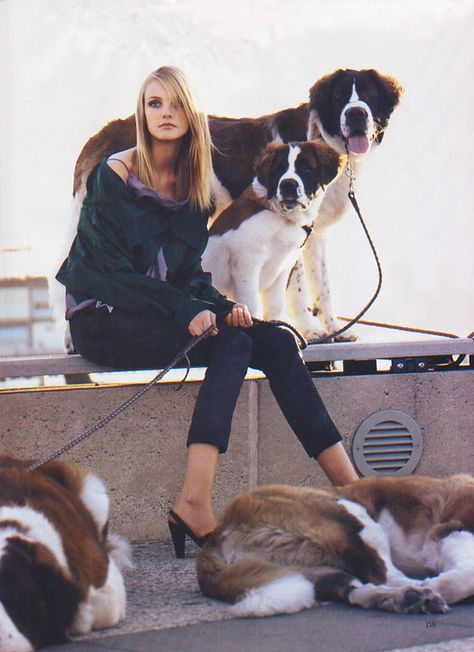 St Bernard Aesthetic, St Bernards, Caroline Trentini, St Bernard Puppy, Free Puppies, St Bernard Dogs, Patrick Demarchelier, Bernard Dog, San Bernardo