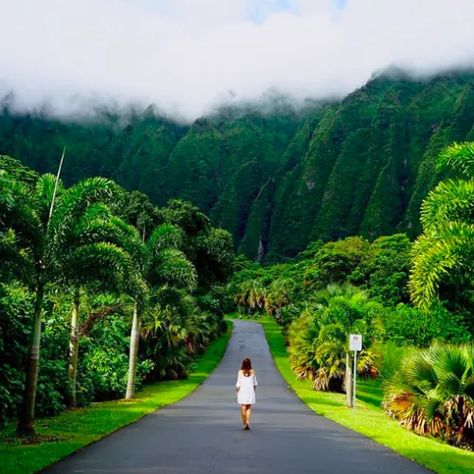 Botanical Garden Oahu, Hawaii Landscape, Oahu Hikes, Hawaii Itinerary, Oahu Vacation, Oahu Travel, Moving To Hawaii, Hawaii Surf, Modeling Agency