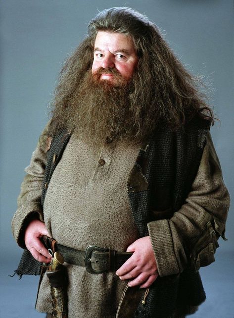 Robbie Coltrane as Hagrid in Harry Potter Harry Potter Witch, Hogwarts Professors, Robbie Coltrane, Rubeus Hagrid, Theme Harry Potter, Golden Trio, Harry Potter 2, Harry Potter Crafts, Harry Potter Films