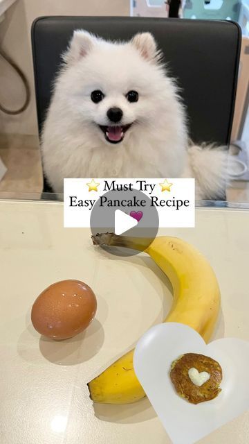 Yogurt Blueberries, Animal Snacks, Banana Recipe, White Pomeranian, Pancakes Easy, Banana Pancakes, Dog Treat Recipes, Dog Recipes, Pancake Recipe