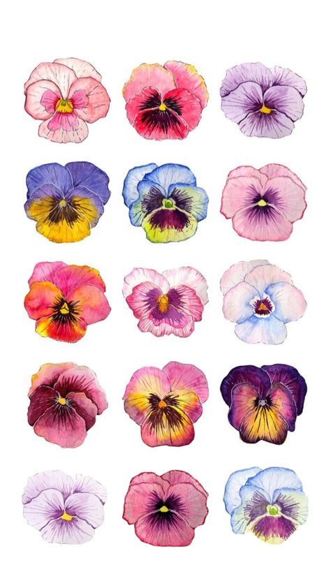 Pansies Wallpaper, Pansy Illustration, Pansy Wallpaper, Pantone Flower, Flowers Collage, Flower Collage, Pansies Flowers, Hand Art Drawing, Hand Art