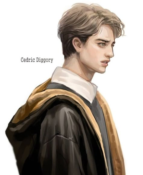 Hufflepuff Aesthetic, Cute Harry Potter, Harry Potter Artwork, Hogwarts Aesthetic, Harry Potter Drawings, Cedric Diggory, Harry James Potter, Harry Potter Anime, Harry Potter Obsession