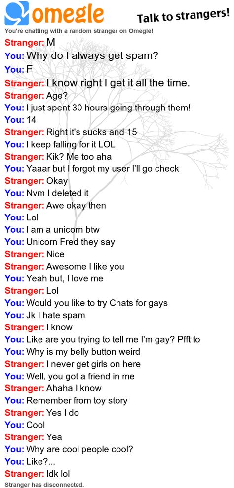 Omegle On Phone Camera Check more at https://topcamera.me/omegle-on-phone-camera/ Omegle Funny, I Am A Unicorn, New Friendships, Chat Sites, Funny Chat, Talk To Strangers, Meet New People, New Friendship, Phone Camera