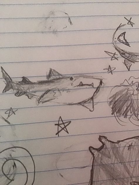 Animal Sketches Easy Simple, Sea Sketch Ocean, Drawing Ideas Shark, Ocean Sketch Simple, Whale Shark Doodle, How To Draw A Shark, Sea Animal Doodles, Ocean Creatures Drawings, Shark Drawing Sketches