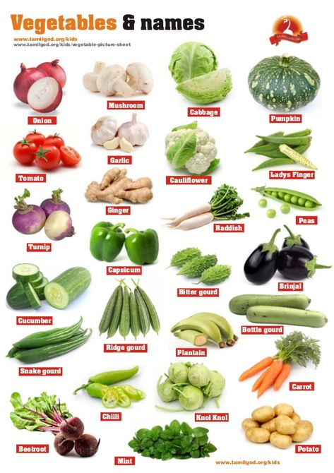 Vegetables Names With Pictures, Fruits And Vegetables List, Name Of Vegetables, Fruits Name In English, Vegetable Chart, अंग्रेजी व्याकरण, Tatabahasa Inggeris, Kids Vegetables, Vegetable Pictures