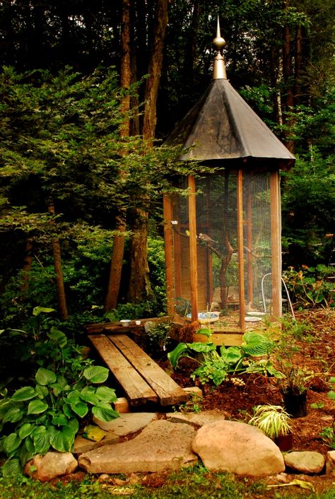 Garden Aviary, Bird Cage Ideas, Chicken Houses, Bird House Kits, Pretty Garden, Bird Aviary, Sugar Gliders, Butterfly House, Small Backyard Ideas