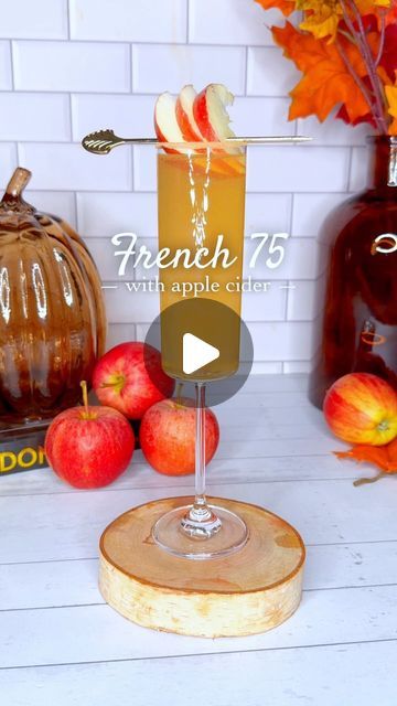 Jessica ✨ | Miami Cocktail Influencer 🥂 on Instagram: "I’ll take 14 of them RIGHT NOW!!! This one will be in heavy rotation in the house!!! Would you try it?

Apple Cider French 75 ✨🍁🍎

1 oz Gin
½ oz Lemon Juice
1½ oz Apple Cider
1/3 oz Agavé or Simple Syrup
Prosecco
Rim: Cinnamon Sugar
Garnish: Apple Slices
—————
1- Rim your champagne flute
2- combine the ingredients in your glass and stir
3- garnish and serve
#Cheers

#CocktailsWithWhiskey #AppleCider #FallRecipe #Drinks #cocktails #recipe #gin" Apple Champagne Cocktail, Apple Cider French 75, Fall Gin Drinks, Bartending 101, French 75, Gin Drinks, Drinks Cocktails, Fall Cocktails, Fall Drinks