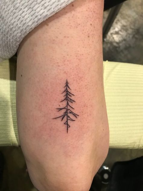 Single Line Pine Tree Tattoo, Ornamental Tree Tattoo, Red Wood Tree Tattoo, 3 Lines Tattoo, Fine Line Pine Tree Tattoo, Line Tree Tattoo, Simple Pine Tree Tattoo, Fine Line Nature Tattoo, Minimalist Tree Tattoo