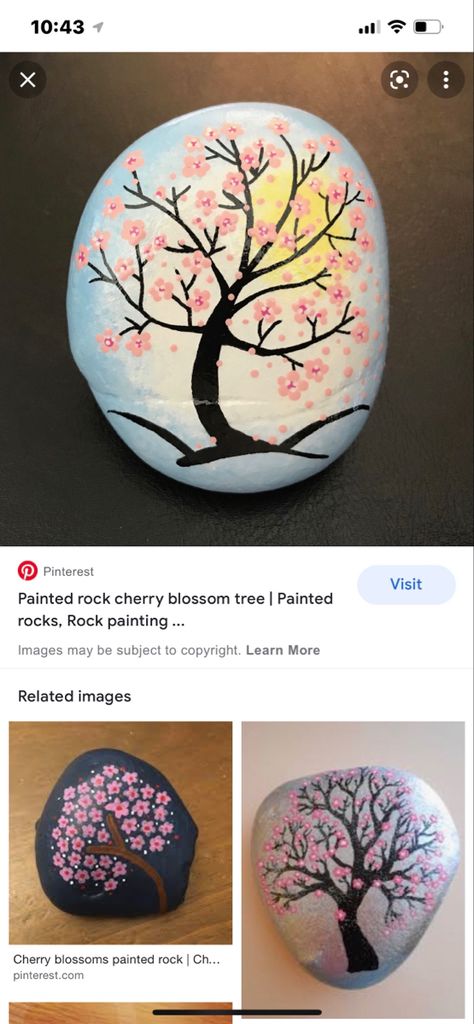 Cherry Blossom Painted Rock, Cherry Blossom Painting, Kindness Rocks, Cherry Blossom Tree, Painted Rock, Tree Painting, Rock Painting, Painted Rocks, Boyfriend Gifts