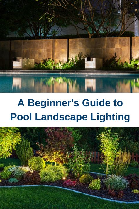 Swimming Pool Lighting, Pool Area Landscaping, Plants Around Pool, Landscaping Around Pool, Pool Lighting, Pool Plants, Inground Pool Landscaping, Simple Pool, Balcony Gardening