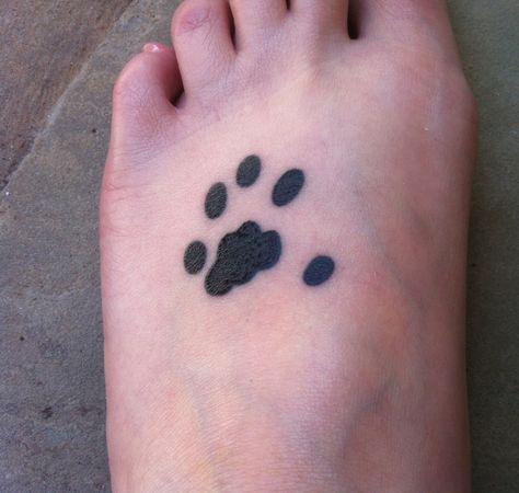 One of our cats is polydactyl (she has thumbs), so I took her paw print and got it tattooed on my foot. Polydactyl Cat Tattoo, Eva Tattoo, Print Tattoo Designs, Cat Paw Print Tattoo, Infinity Sign Tattoo, Shark Tooth Tattoo, Inner Wrist Tattoos, Halo Tattoo, Side Tattoos Women