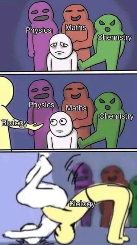 30 Funny School Memes To Laugh At With Your Friends School Memes So True, Physics Memes, Studying Memes, Dungeons And Dragons Memes, Dragon Memes, Dnd Funny, Student Humor, Funny School, Teacher Memes