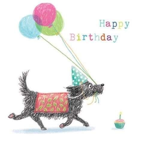 Happy Birthday Dog Lover, Greeting Cards Happy Birthday, Cards Happy Birthday, Happy Birthday Kids, Happy Birthday Dog, Congratulations Greetings, Cat And Dog Videos, Birthday Dog, Anniversary Greeting Cards