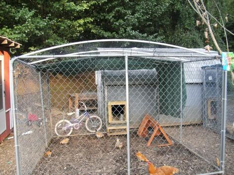 pictures of dog kennel ideas | Dog Kennel wire roofing and preditor proofing questions - Page 2 Dog Kennel Roof, Chicken Coop Building Plans, Diy Dog Run, Duck Farm, Dog Kennel Designs, Kennel Ideas, Dog Pens, Dog Kennel Cover, Kennel Cover