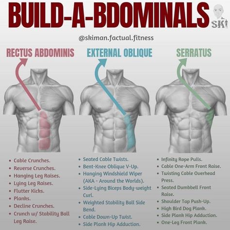 External Oblique, Gym Antrenmanları, Weight Training Workouts, Abs Workout Routines, Workout Chart, Gym Workout Tips, I Work Out, Weight Training, Core Workout