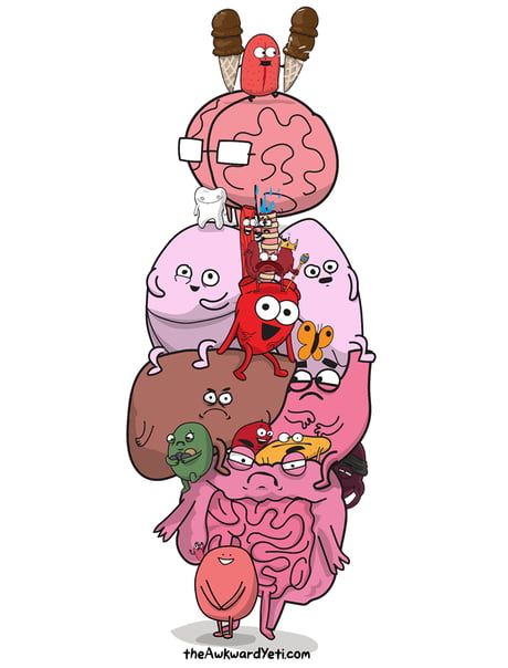 To all the mates asking for a wallpaper, here you go - 9GAG Heart And Brain Comic, Anatomy Humor, Heart Vs Brain, Awkward Yeti, The Awkward Yeti, Medical Wallpaper, Biology Art, Science Quotes, Medical Anatomy