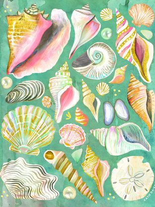 Floral Beach Aesthetic, Watercolor Seashells, Seashells Art, Summertime Aesthetic, Katie Daisy, Phone Customization, Art Coquillage, Daisy Art, Ocean Aesthetic