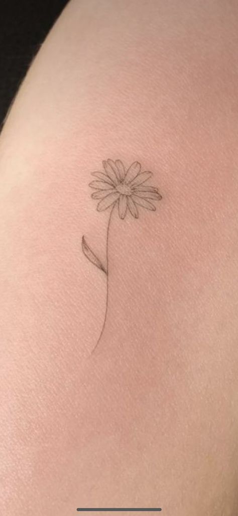 Dainty Aster Flower Tattoo, Small Dainty Daisy Tattoo, Daisy Dainty Tattoo, Dog Daisy Tattoo, Simple Aster Tattoo, Daisy Tattoo One Line, Marguerite Daisy Tattoo, Line Work Daisy Tattoo, Daisy With Stem Tattoo