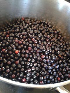 4 Acres Farm: Lower Sugar Chokecherry Jam Recipe Wild Black Cherry Recipes, Black Cherry Recipes, Aronia Berry Recipes, Chokecherry Syrup, Chokecherry Jelly, Low Sugar Jam, Cordial Recipe, Aronia Berries, Sugar Free Jam