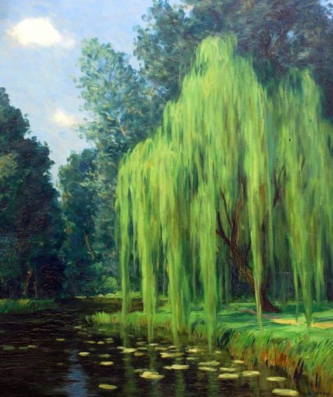 Willow Tree Art, Weeping Willow Tree, Monet Paintings, Weeping Willow, Watercolor Trees, Tree Drawing, Willow Tree, Ethereal Art, Painting Art Projects