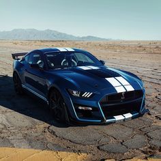 Fondos de Pantalla Ford Mustang Shelby GT500 2019 Azul Tiras Coches descargar imagenes Ford Mustang Shelby Gt500 Wallpapers, Front Wallpaper, New Car Picture, Ford 2020, New Car Wallpaper, Ford Mustang Shelby Gt500, Shelby Gt500, Ford Mustang Shelby, Mustang Shelby