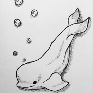 Beluga Whale Drawing Easy, Cute Beluga Whale Drawing, Whale Drawing Reference, Beluga Drawing, Simple Whale Drawing, Sea Animal Sketches, Beluga Whale Drawing, Beluga Whale Tattoo, Beluga Whale Art