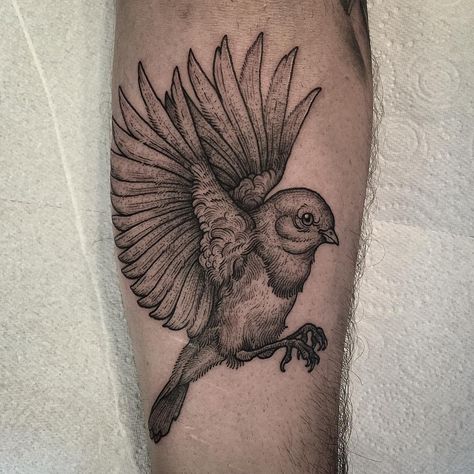 Loved doing this. Robin bird on forearm. Thankyou again Sotos. Always a pleasure! By: Thomas Bates Robin Bird Tattoos, White Bird Tattoos, Sparrow Tattoo Design, Robin Tattoo, Bird Tattoo Men, Sparrow Tattoo, Bird Tattoo, Robin Bird, Birds Tattoo