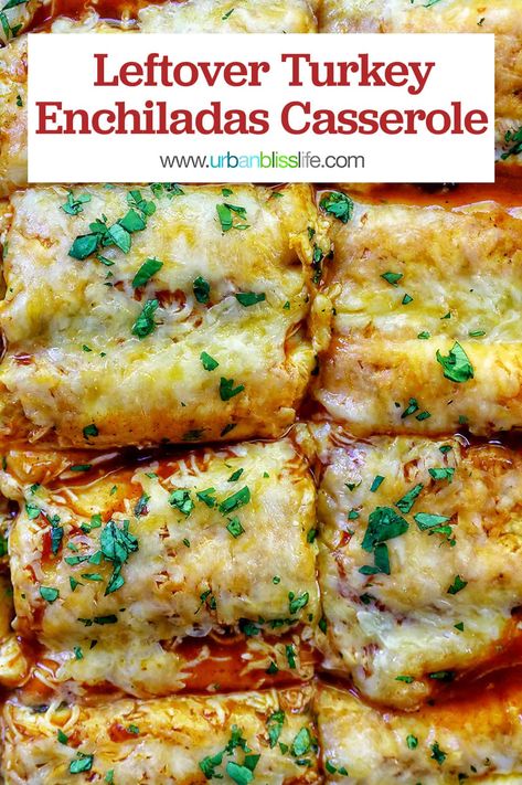 Turkey Enchiladas Casserole, Leftover Turkey Enchiladas, Turkey Enchilada Casserole, Enchiladas Casserole, Cream Cheese Enchiladas, Turkey Enchiladas, Smoked Turkey Recipes, Enchilada Casserole Recipes, Turkey Casserole