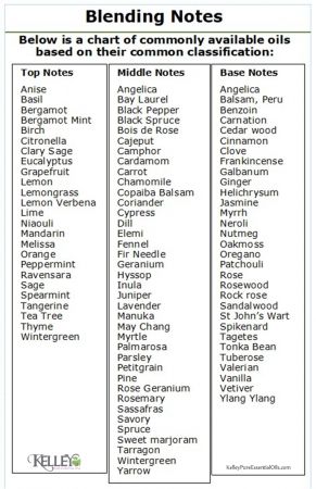 Difference Between Essential Oil And Fragrance Oil, Essential Oil Notes, Essential Oil Notes Chart, Honeysuckle Essential Oil Blend, Cologne Recipes, Lemon Verbena Essential Oil, Essential Oil Cologne, Honeysuckle Essential Oil, Essential Oil Combos