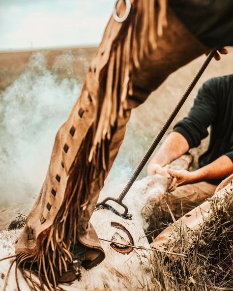 Branding Cattle Photography, Ranching Photography, Branding Cattle, Ranch Photoshoot, Cattle Branding, Marketing Pictures, Western Photos, Ranch Photography, Cowboy Lifestyle