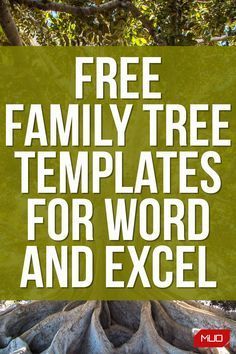 Family History Printables, Family Tree Forms, Genealogy Templates, Family Tree Templates, Free Family Tree Template, Family History Organization, Family Tree Book, Make A Family Tree, Family Tree Printable