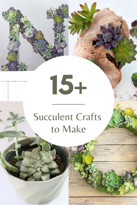 15 Succulent Crafts to Make ASAP Succulent Crafts, Bracelets Paracord, Bracelets String, Beaded Bracelet For Men, Crazy House, Country Chic Cottage, Healing Gemstone Bracelets, Succulent Wreath, Work Diy